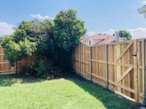 vertical wood plank fence