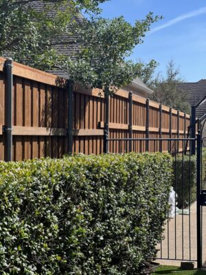 wood fencing