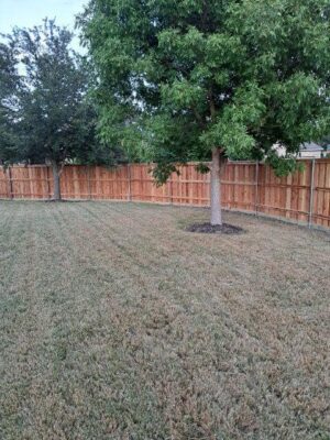 wooden fence